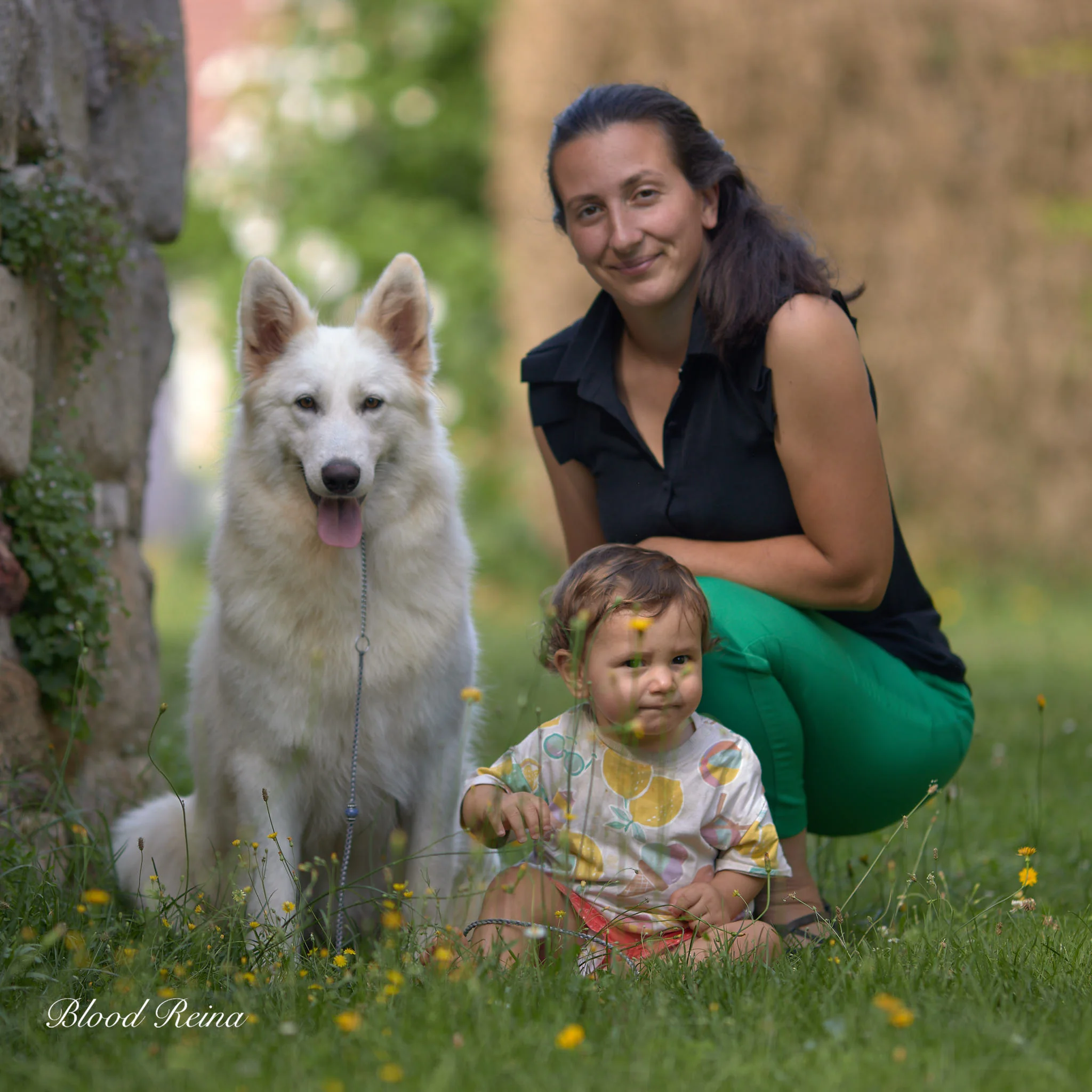 Berger Blanc Suisse en éducation