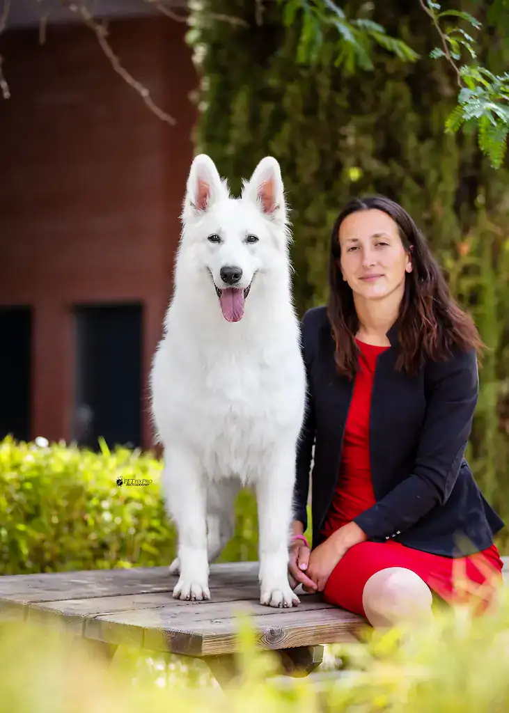 Um-Ka, Berger Blanc Suisse de l'élevage Bloodreina, Championne du Monde 2021