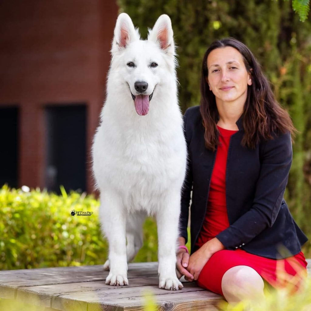 Um-ka, Berger Blanc Suisse Bloodreina