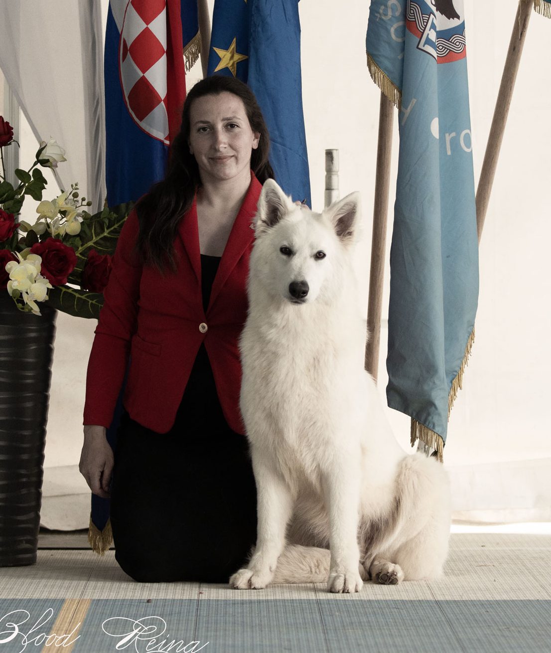 Maman SLAVA - portée Slava X Loki - Berger Blanc Suisse