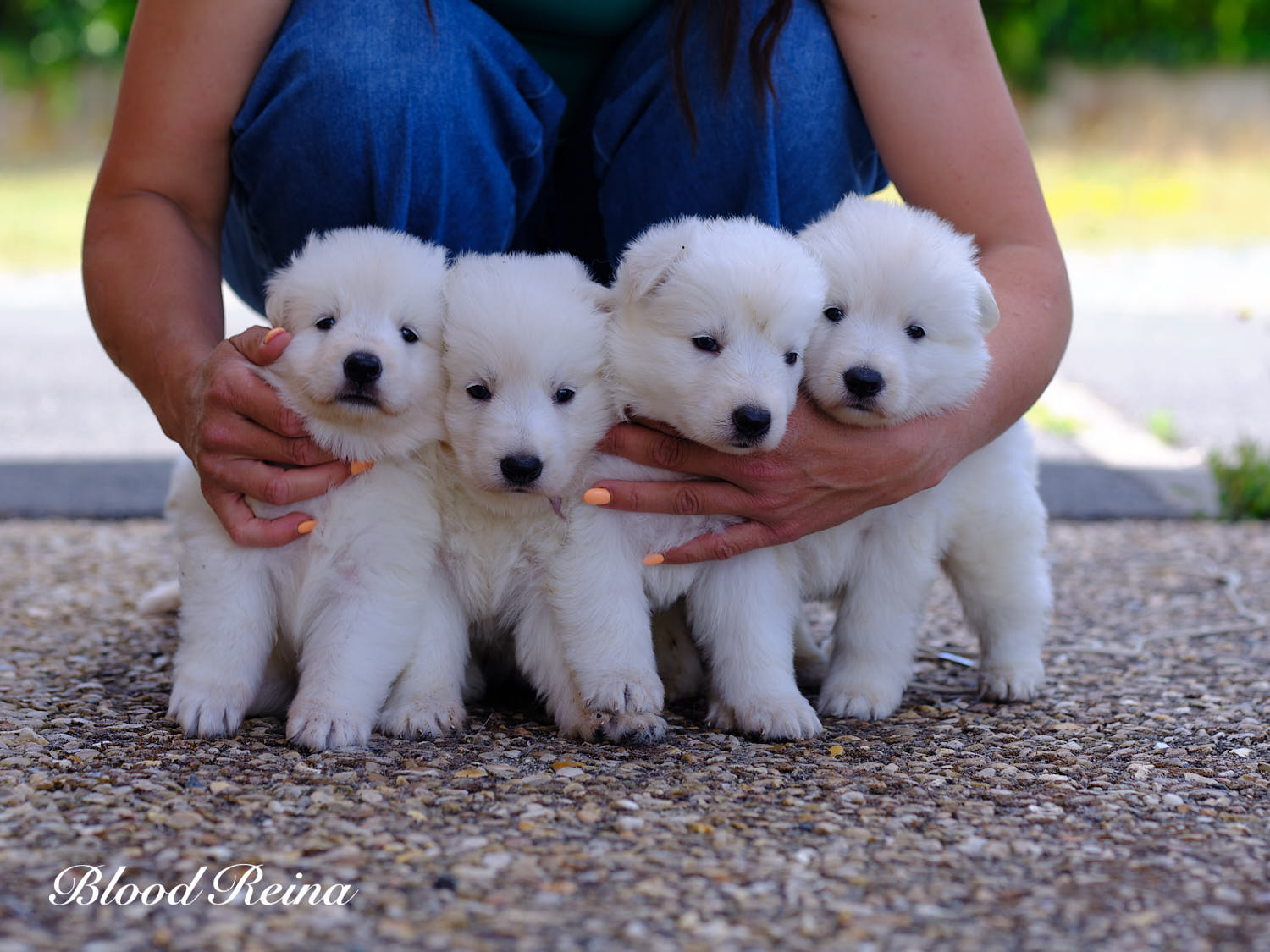 Photo de groupe