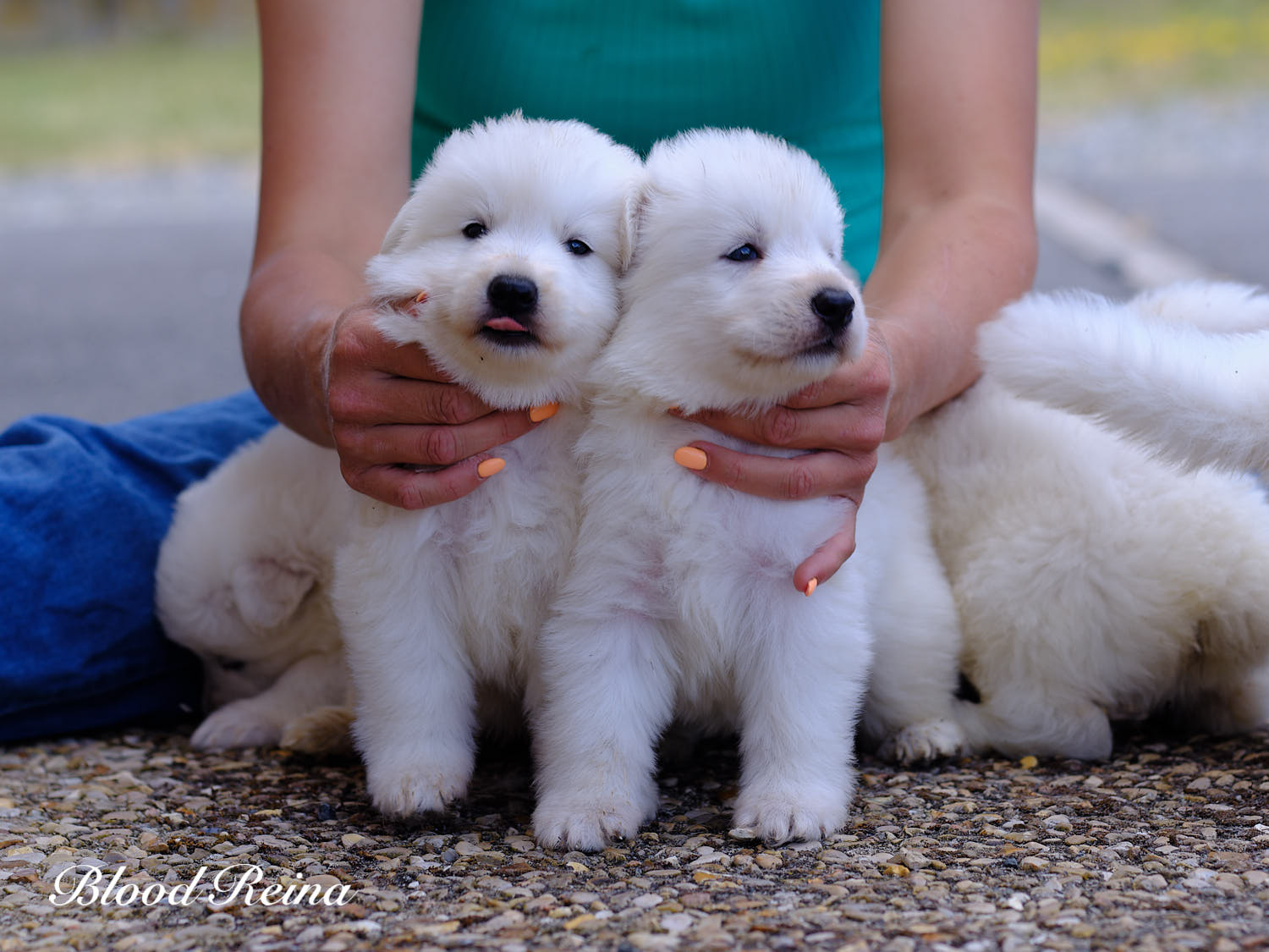Photo de groupe