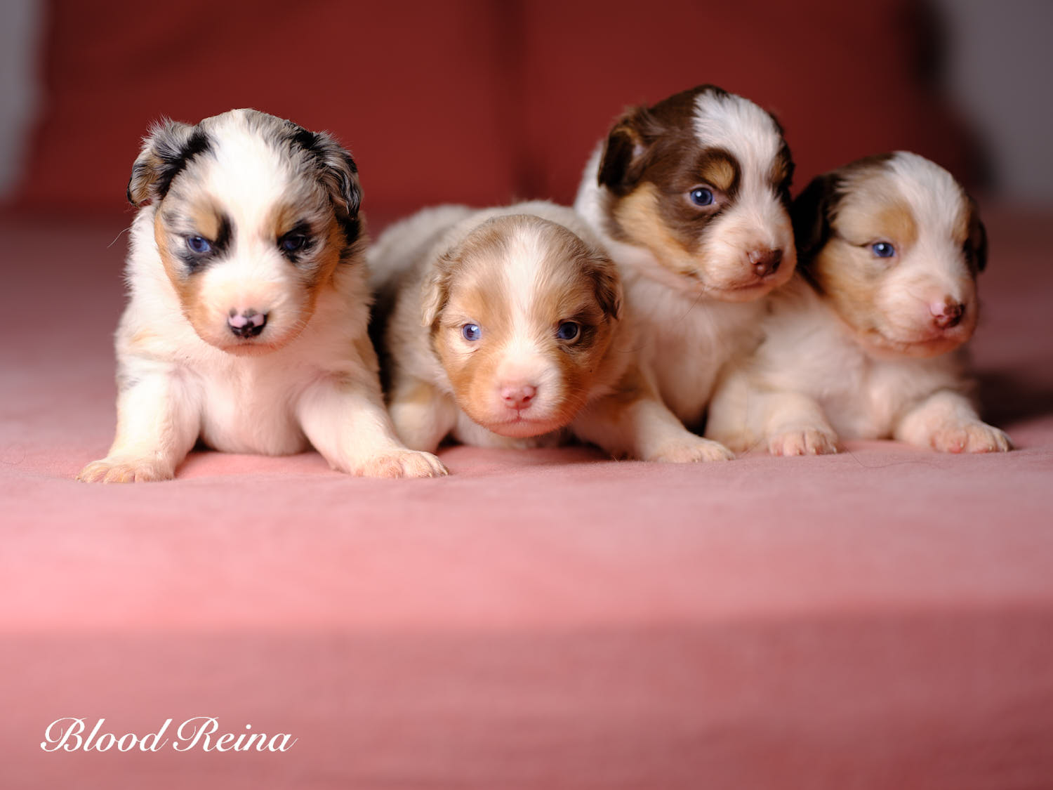 Photo de groupe