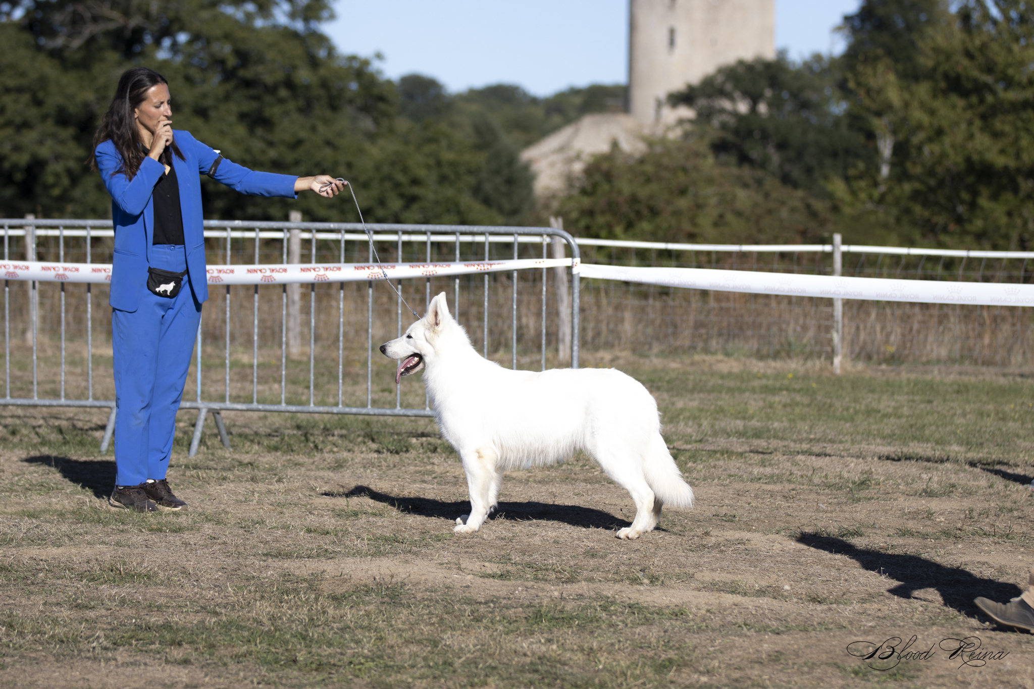 Tarifs BBS — Bloodreina pour Landes