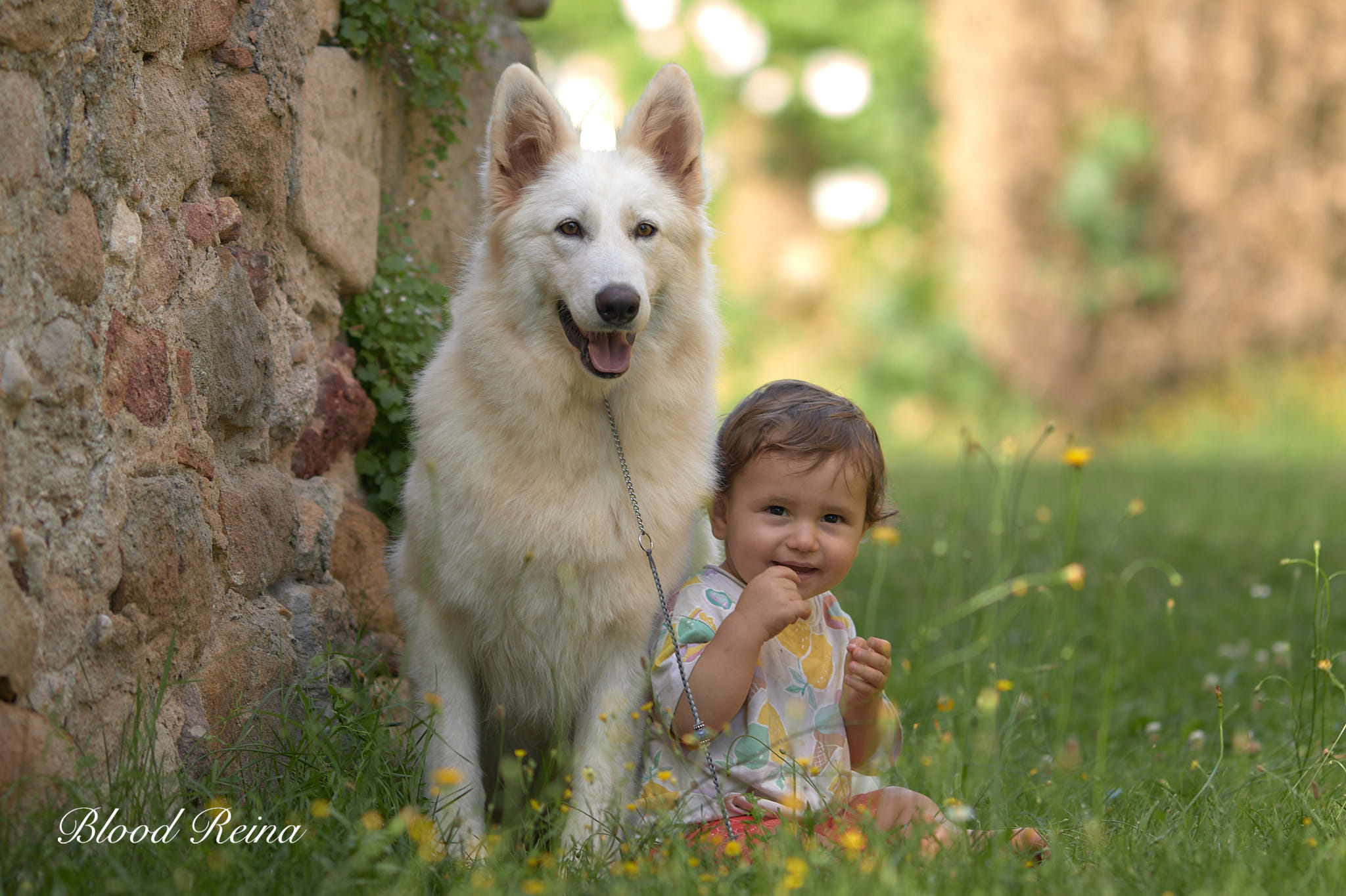 Élevage Bloodreina — Bloodreina pour Yvelines