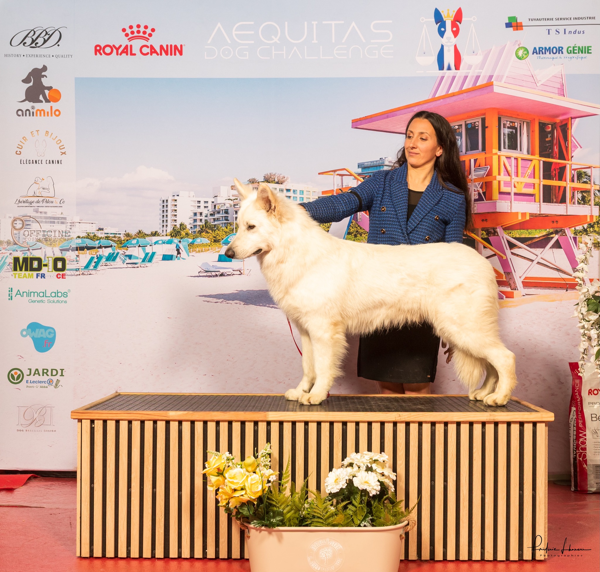 Tarifs BBS — Bloodreina pour Haute-Savoie