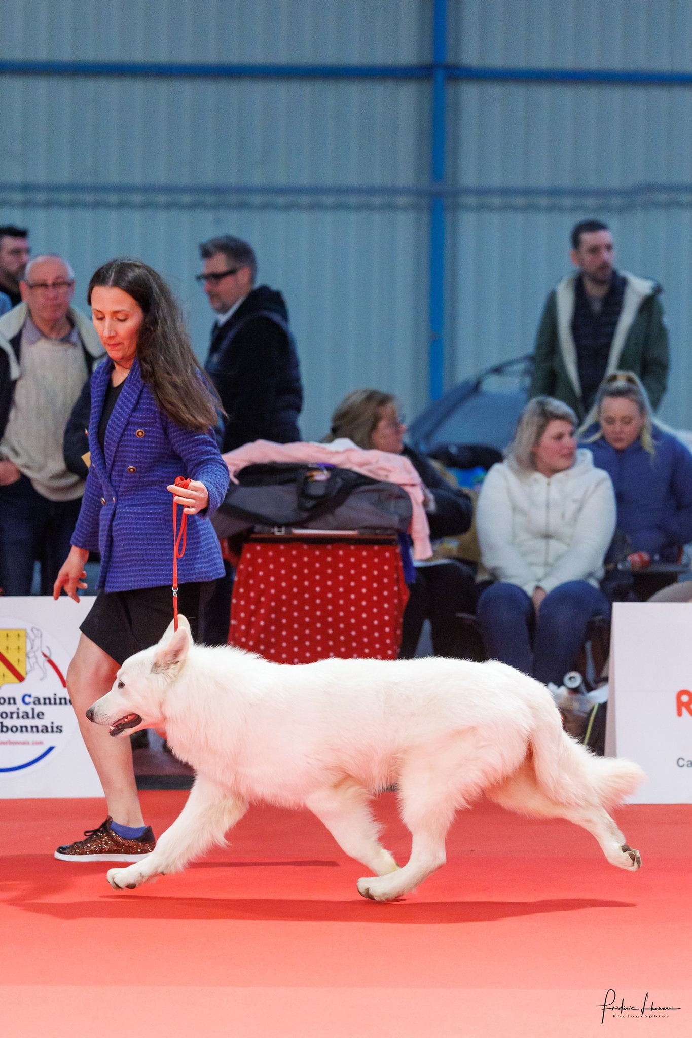 Tarifs BBS — Bloodreina pour Finistère