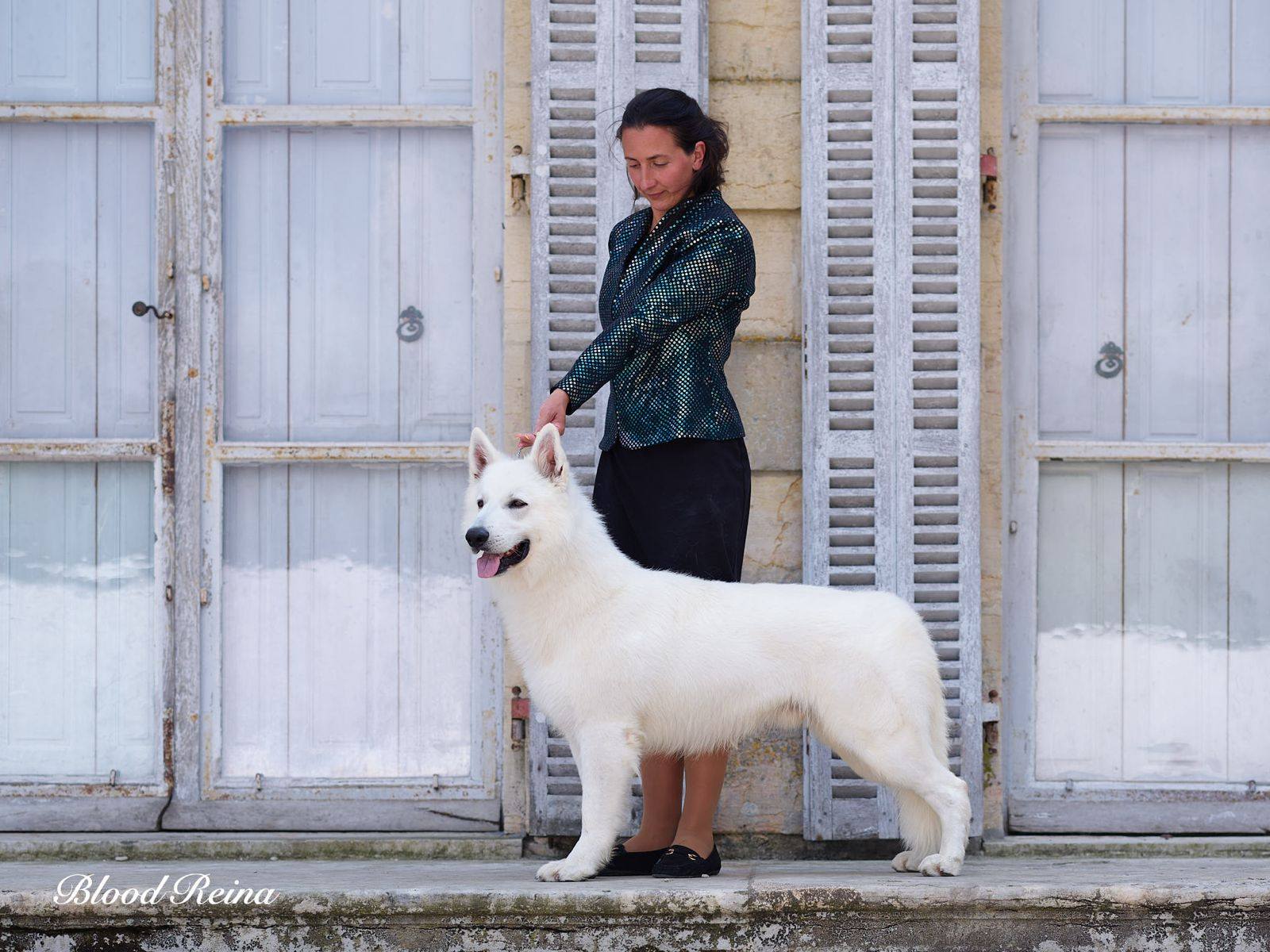 Amandine Aubert, fondatrice de l'élevage Bloodreina