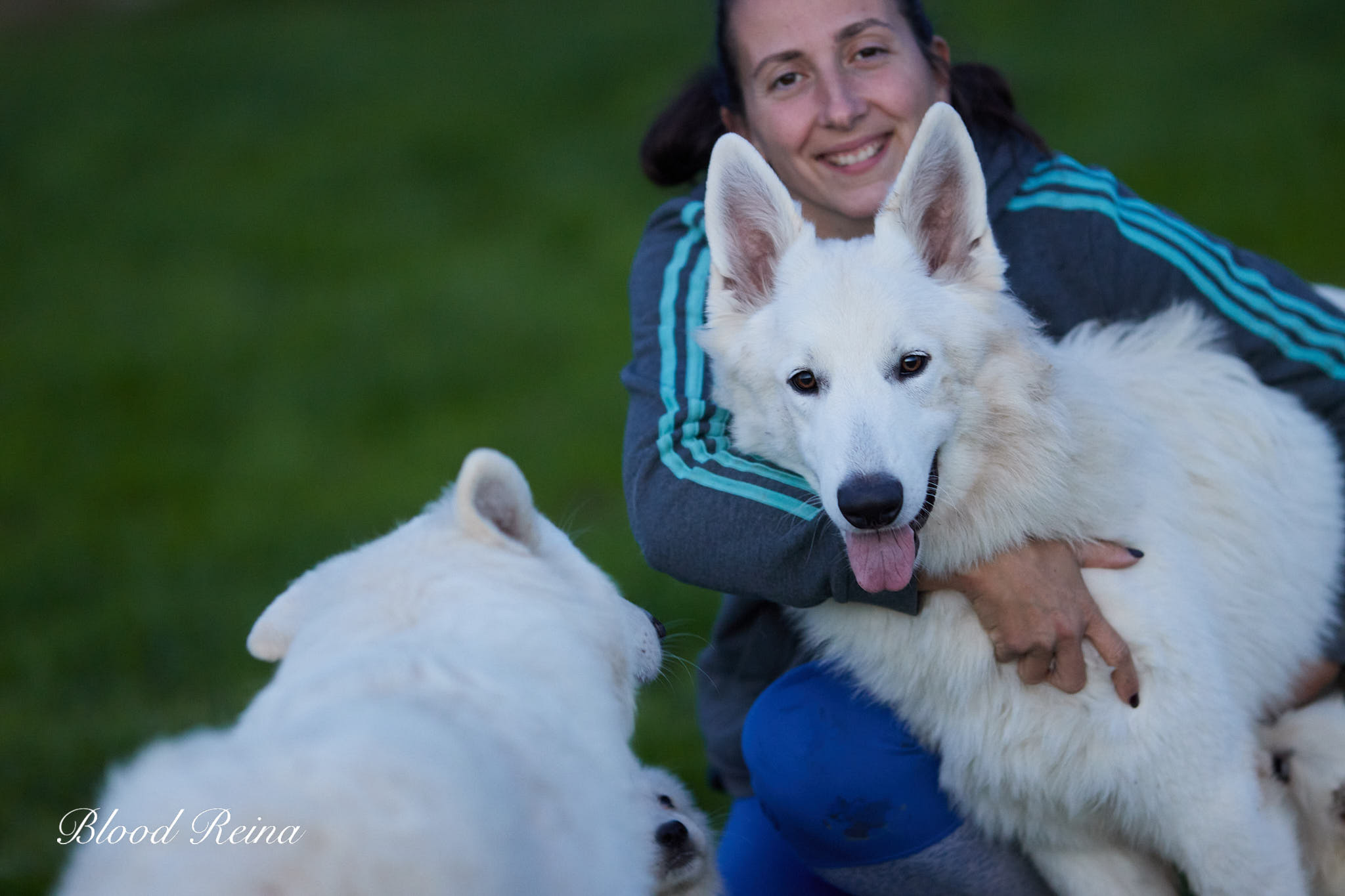 Berger Blanc Suisse éducation positive