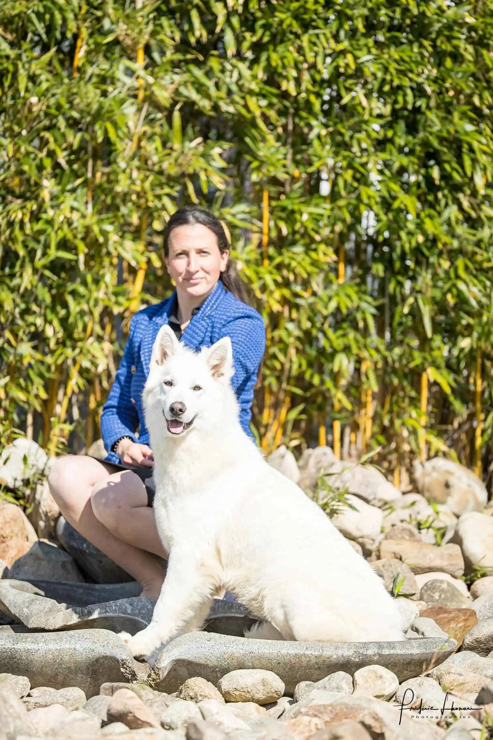 Berger Blanc Suisse Charente, élevage Bloodreina