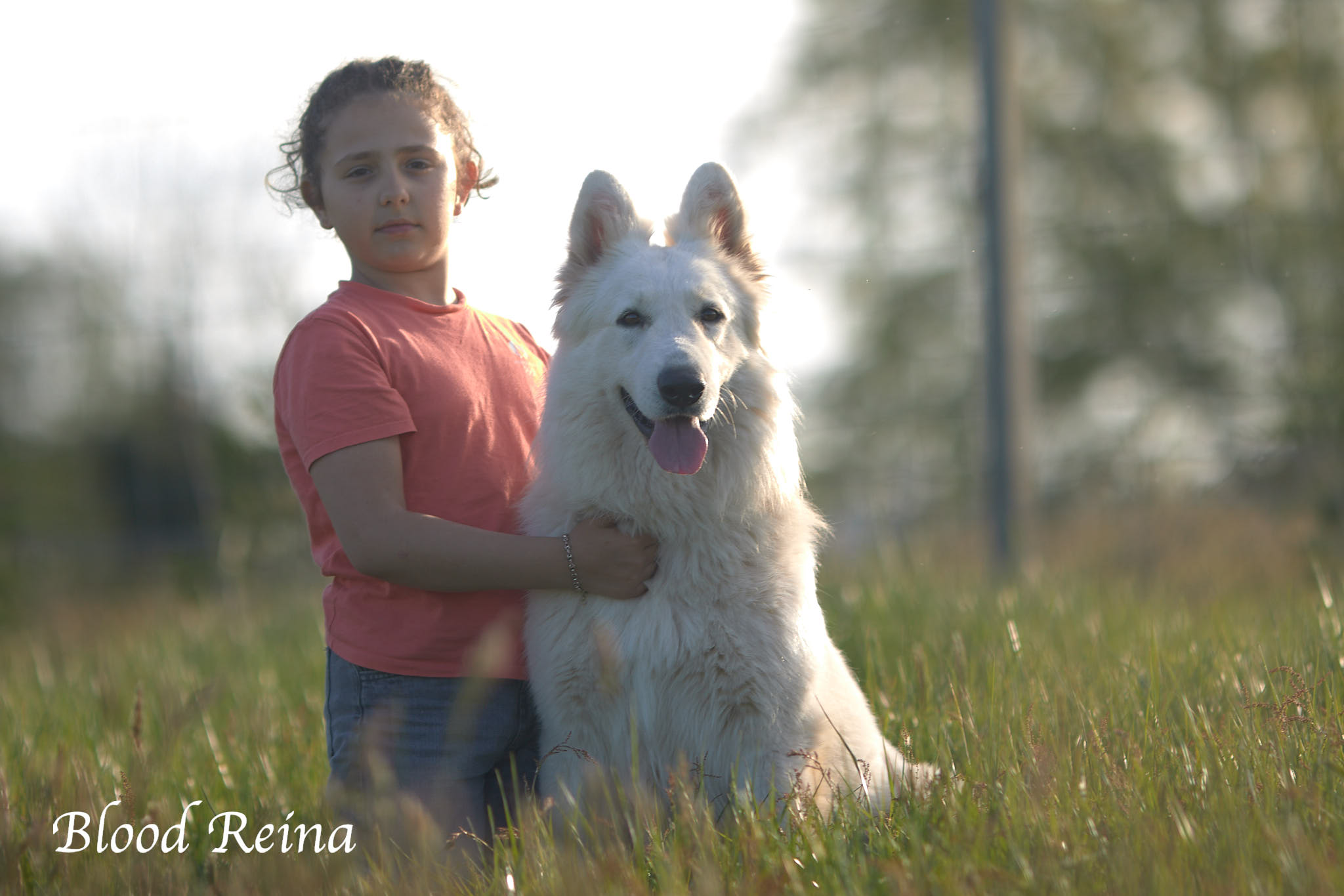 Élevage Bloodreina — Bloodreina pour Rhône