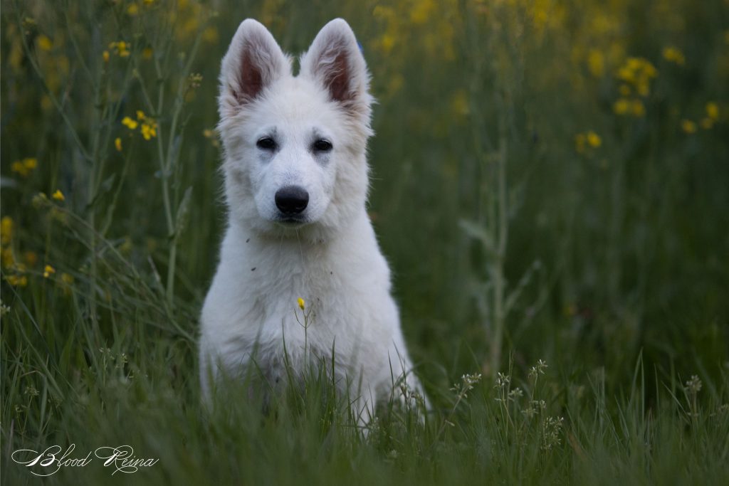 SKY - Photo 9