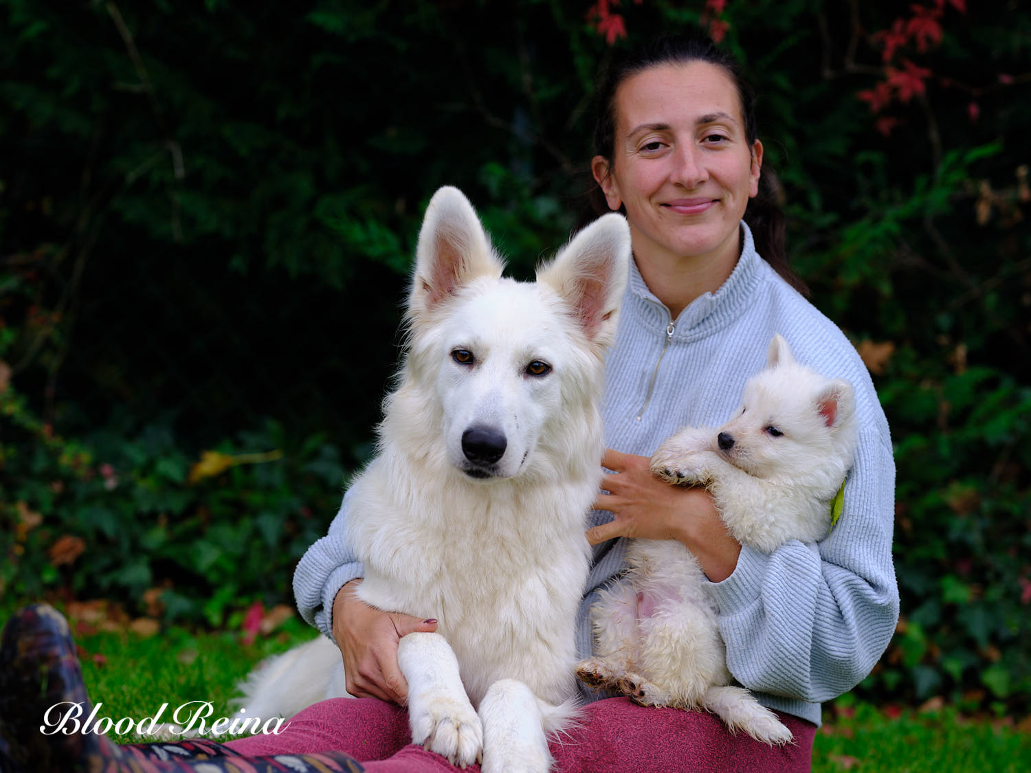 Élevage Bloodreina — Bloodreina pour Vendée